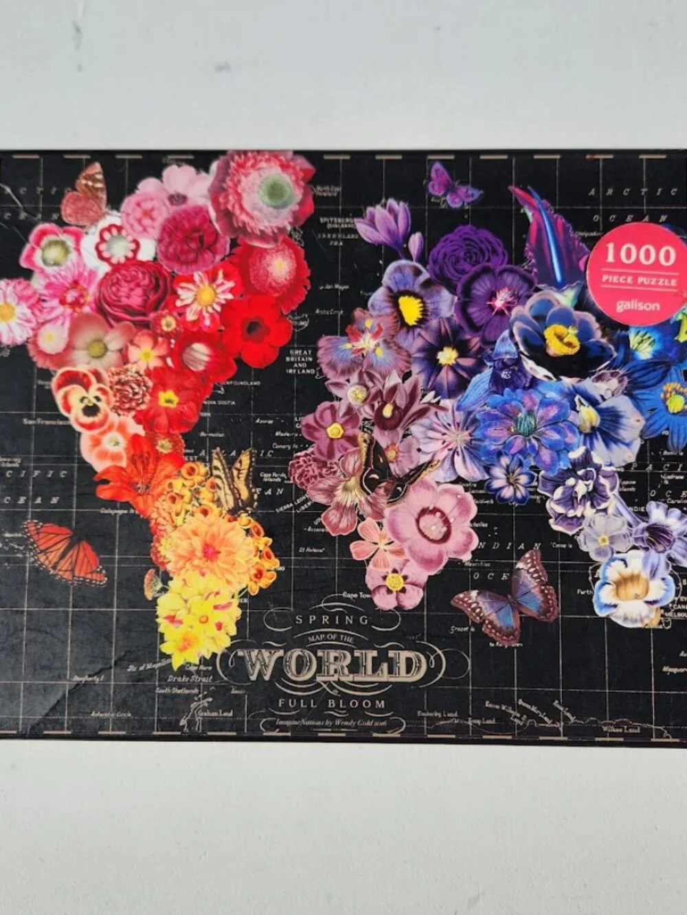 Ravensburger galison full